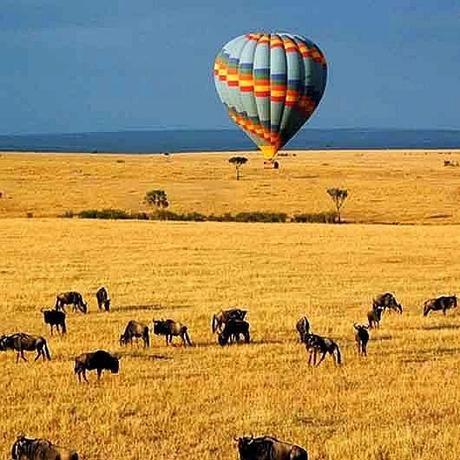 Kenya, safari per tutti i gusti