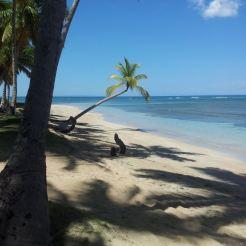 Le spiagge di Las Terrenas, un paradiso dominicano ancora da scoprire