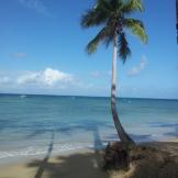 Le spiagge di Las Terrenas, un paradiso dominicano ancora da scoprire