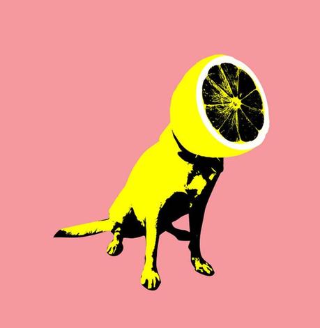 Ali Gulec - Lemon