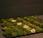 Moss Bathroom