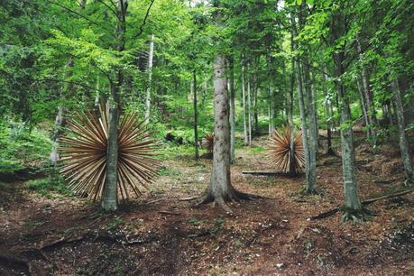 Arte _ Oltre la Land Art _ Arte Sella