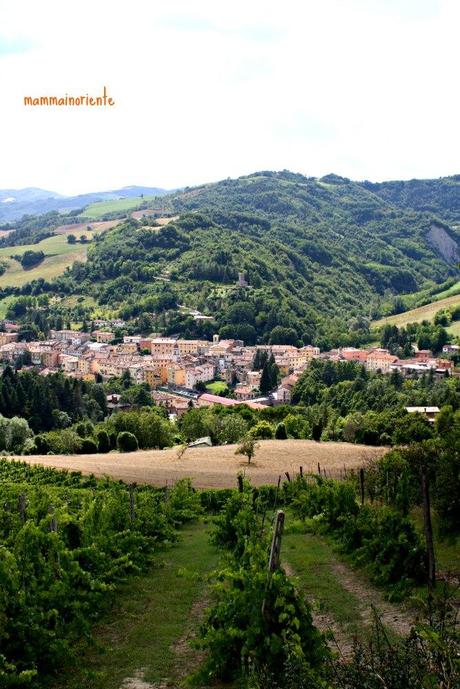 Sul recuperare il rapporto con mio figlio e l’amore per le colline