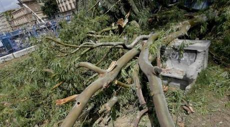 Napoli, cade ramo in Villa Comunale rompendo panchina di pietra