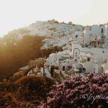 Santorini e i suoi tramonti