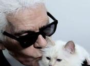 Uemura linea cosmetici dedicata gatto Karl Lagerlfield!!
