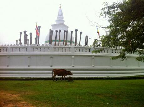 Thuparama Dagoba - Anuradhapura, Sri Lanka