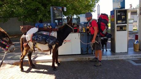 Cammino di Santiago: Nove Mesi a Passo Lento con due Asini