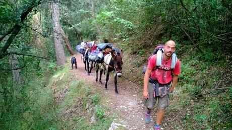 Cammino di Santiago: Nove Mesi a Passo Lento con due Asini