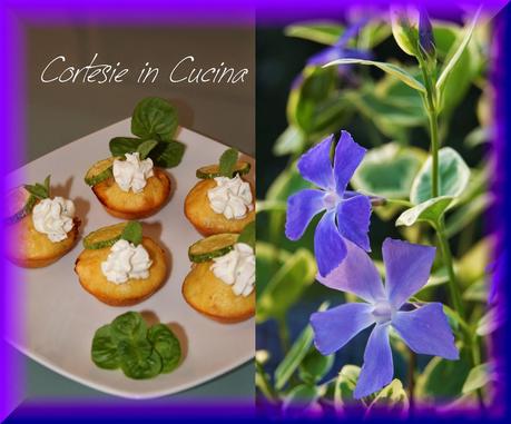 Mini cupcakes zucchine e menta