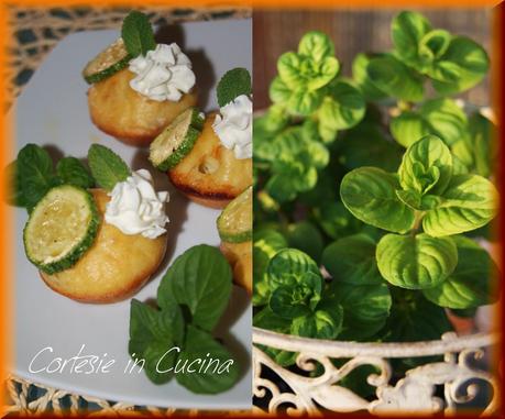 Mini cupcakes zucchine e menta