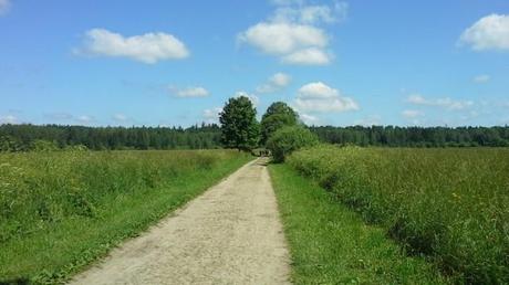 Bialowieza, Polonia