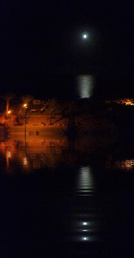 Notte di luna ad Hammamet (Tunisia) (foto personale)