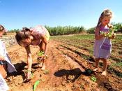 Mare, terra agricoltura, primo agri-beach d’Italia