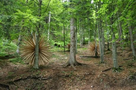 Arte Sella _ Incontri Internazionali Arte Natura _ Borgo Valsugana (TN)