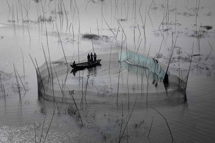 Rete da pesca nella regione di Dacca Bangladesh  23° 43’ N - 90° 20’ E © Yann Arthus-Bertrand