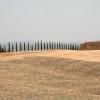 Le Crete Senesi