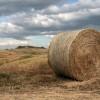 Le Crete Senesi