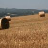 Le Crete Senesi