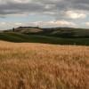 Le Crete Senesi