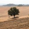 Le Crete Senesi