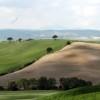 Crete Senesi
