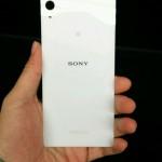  Sony Xperia Z3 entra in produzione  smartphone  Z3 xperia specifiche tecniche Sony Xperia Z3 Sony Xperia Z2 sony Rumors immagini foto Flagship caratteristiche tecniche 