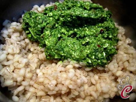 Insalata di orzo con pesto di rucola e sgombro: il desiderio che si trasforma in sostanza