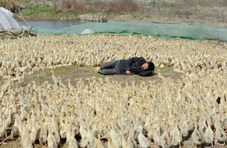 Posti strani in cui dormire