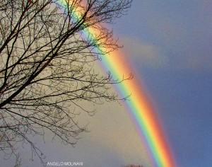 arcobaleno