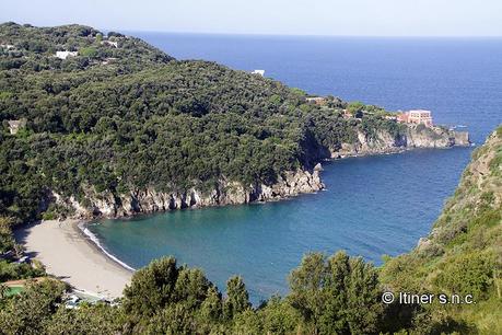 Pasta con Salsa Rosa allo Stracchino