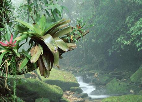 La Natura Selvaggia è Tranquillità