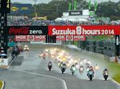 Hours Suzuka 2014 Gallery