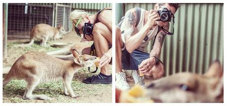 PeterSedlacikZuzuGalova8AustraliaFeatherdaleWildlifePark_ilovegreen_