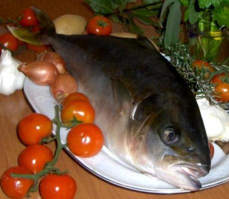 I classici: Pesce intero,  Ricciòla al forno con patate, pomodorini e cipolla o scalogno