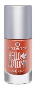 nail polishes Hello Autumn Essence