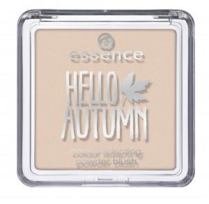 Hello Autumn Essence blush