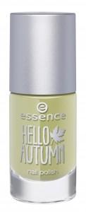 nail polish Hello Autumn Essence