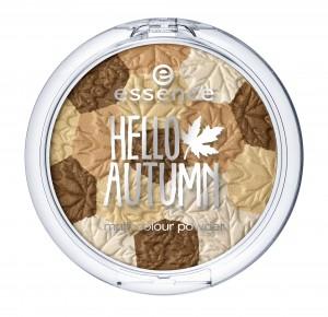 polveri Hello Autumn Essence