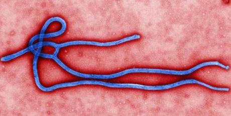 Ebola: in Africa l’epidemia continua. Ma l’Italia non è a rischio