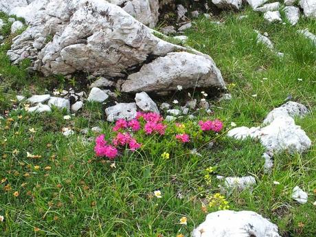 Virtual walking in Lagazuoi area, Dolomiti