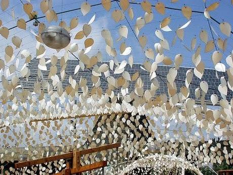 Riassunto della Settimana e buone vacanze