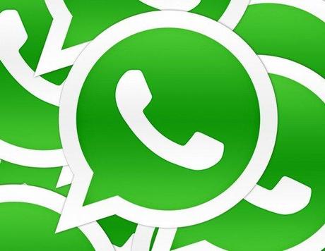 whatsapp logos 1024x7951 600x465 WhatsApp sbarca su Android Wear in versione Beta news  WhatsApp Wear whatsapp Android Wear WhatsApp android wear 