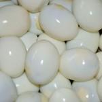 800px-Boiled_Unshelled_Chicken_Eggs_-_Kolkata_2011-02-21_1693