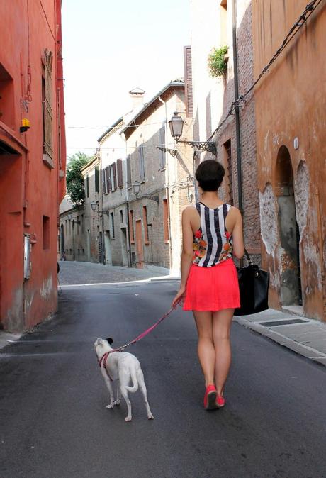 Coral shorts