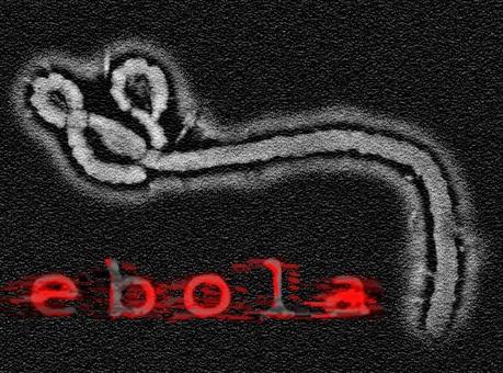 EBOLA, UN NUOVO ATTACCO “SICILIA IN PRIMA LINEA”