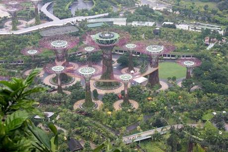 Alcuni supertrees dei Gardens by the Bay di Singapore. Foto di Marco Restelli