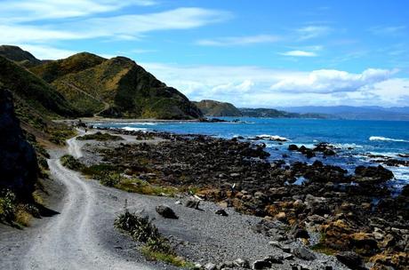 6 Trekking da un Giorno da Fare in Nuova Zelanda