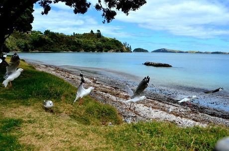 6 Trekking da un Giorno da Fare in Nuova Zelanda