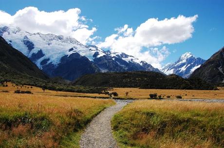 6 Trekking da un Giorno da Fare in Nuova Zelanda